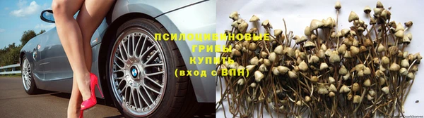 прущий лед Абинск