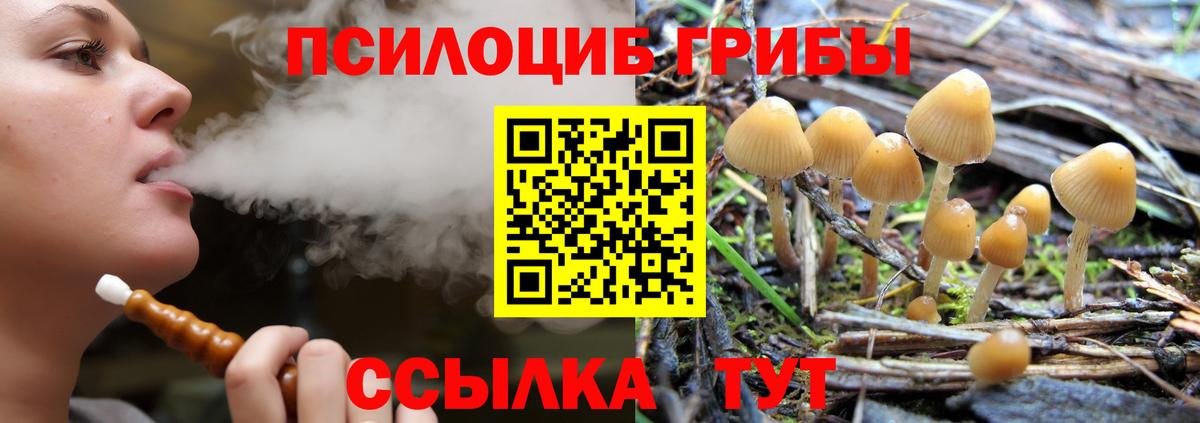 Псилоцибиновые грибы прущие грибы Балаково