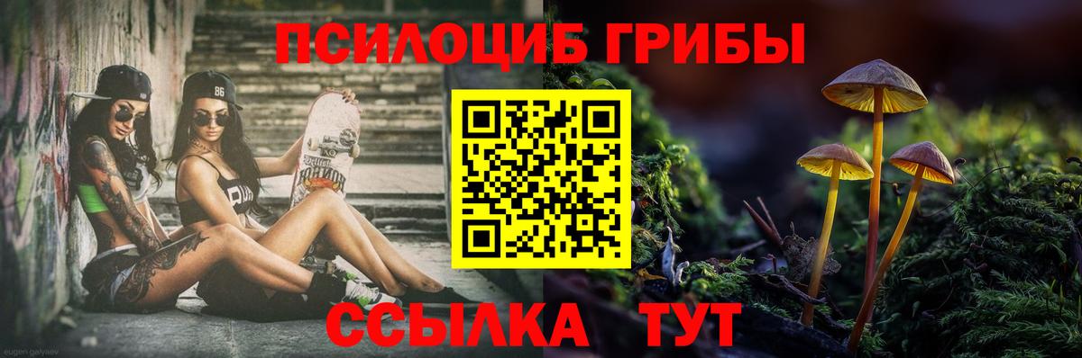 Балаково  Псилоцибиновые грибы прущие грибы  Вход с VPN 