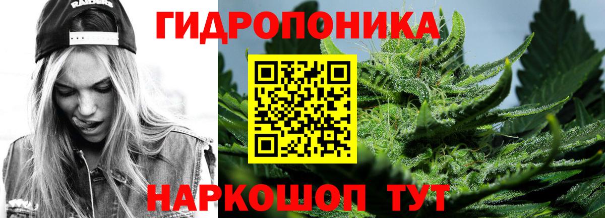 Каннабис Bruce Banner  Марихуана сатива  Балаково  Вход с VPN  Конопля индика 